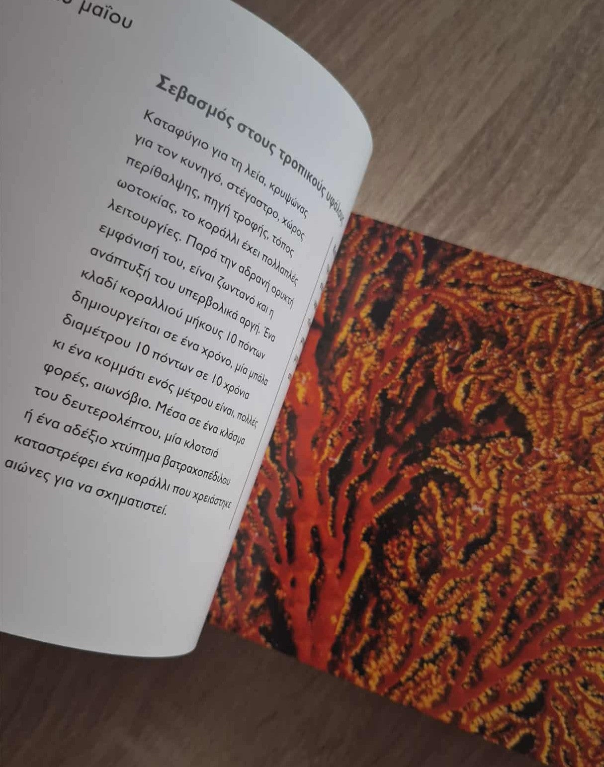 Anne Jankeliowitch, Philippe Bourseiller - 365 κινήσεις για να σώσουμε τον πλανήτη (σκληρόδετο) εξώφυλλο βιβλίου 2