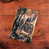 The Hobbit & The Lord of the Rings Boxed Set: Illustrated edition (Hardcover) εξώφυλλο βιβλίου