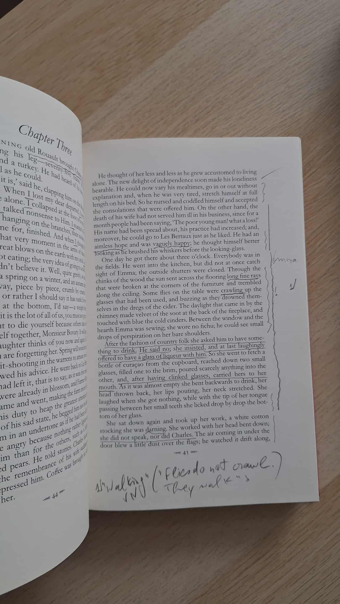 Gustave Flaubert - Madame Bovary εξώφυλλο βιβλίου