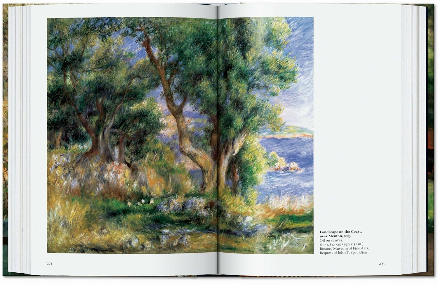 Renoir (45th Edition) εξώφυλλο βιβλίου