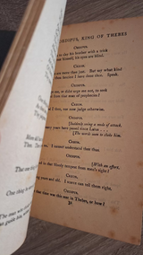 Sophocles - Oedipus, King of Thebes (trans. Gilbert Murray) - εξώφυλλο βιβλίου 4