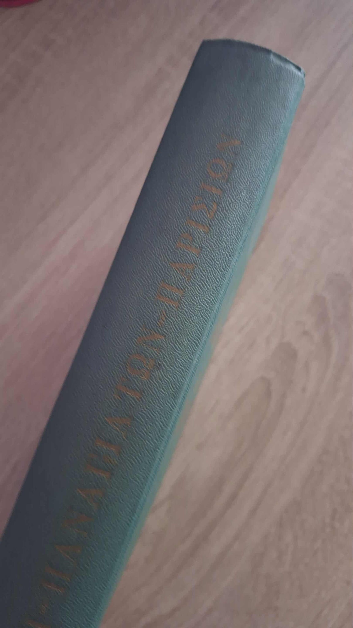Victor Hugo - Η Παναγιά των Παρισίων (σκληρόδετο) εξώφυλλο βιβλίου 3